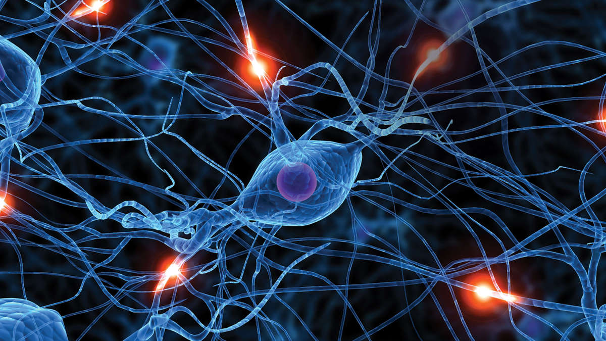 neuroscience