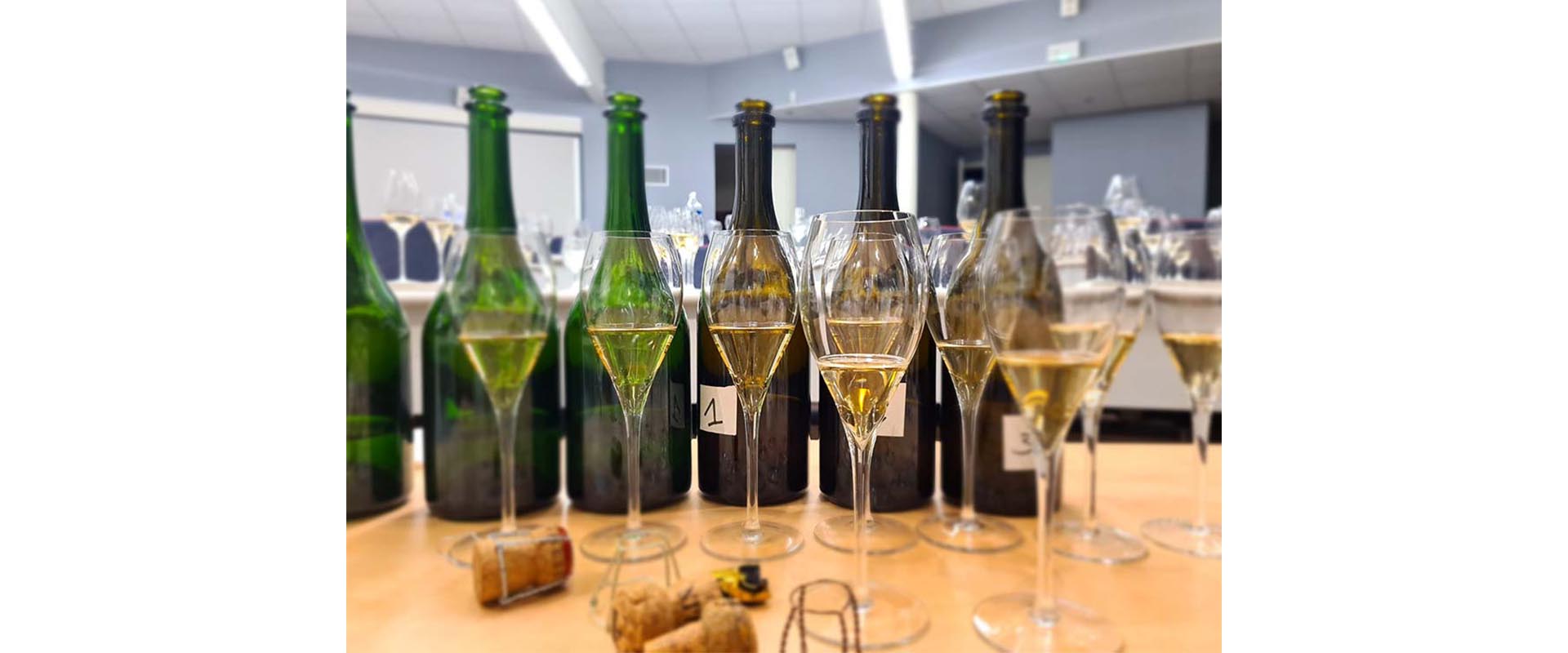 Toutes les informations sur la formation Champagne Spécialiste