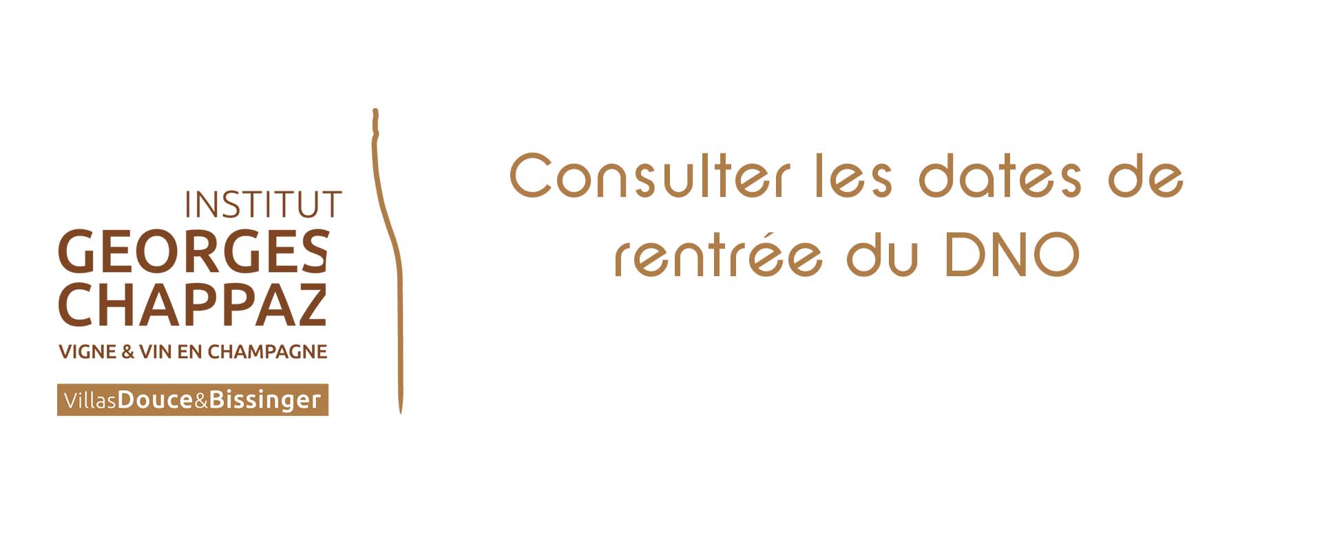Dates de rentrée DNO