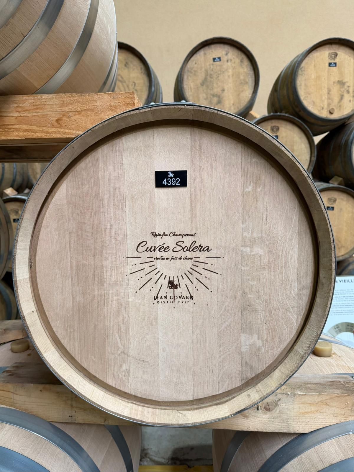Visite pour les étudiants de la L PRO Métiers de la Vigne et du Vin – parcours Viticulture, Œnologie, Environnement