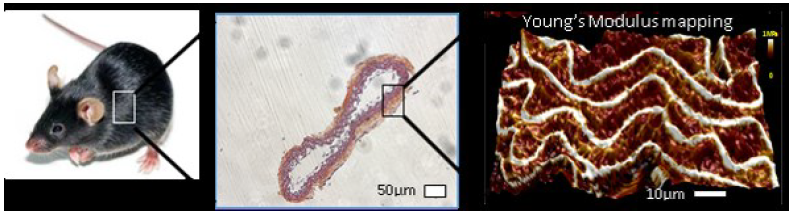 Nanoscale_AB