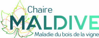 Logo Chaire Maldive