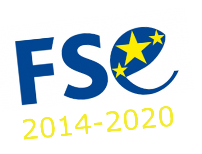 Logo FSE