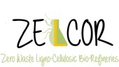 Logo Zelcor