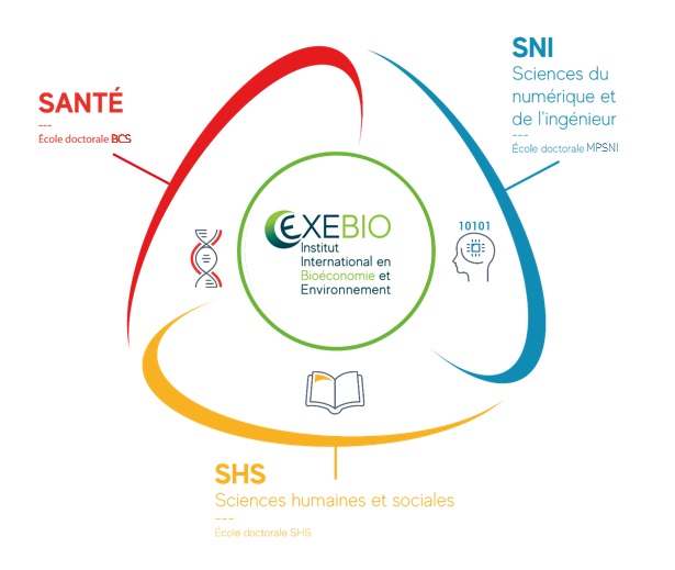 Ecoles doctorales schéma