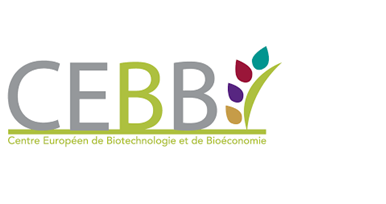 Logo CEBB (PNG, 16 Ko)
