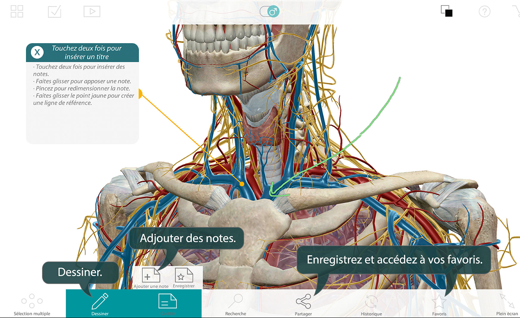 Capture d'écran Visible body