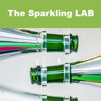 sparkling lab