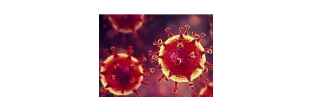 Image du virus COVID