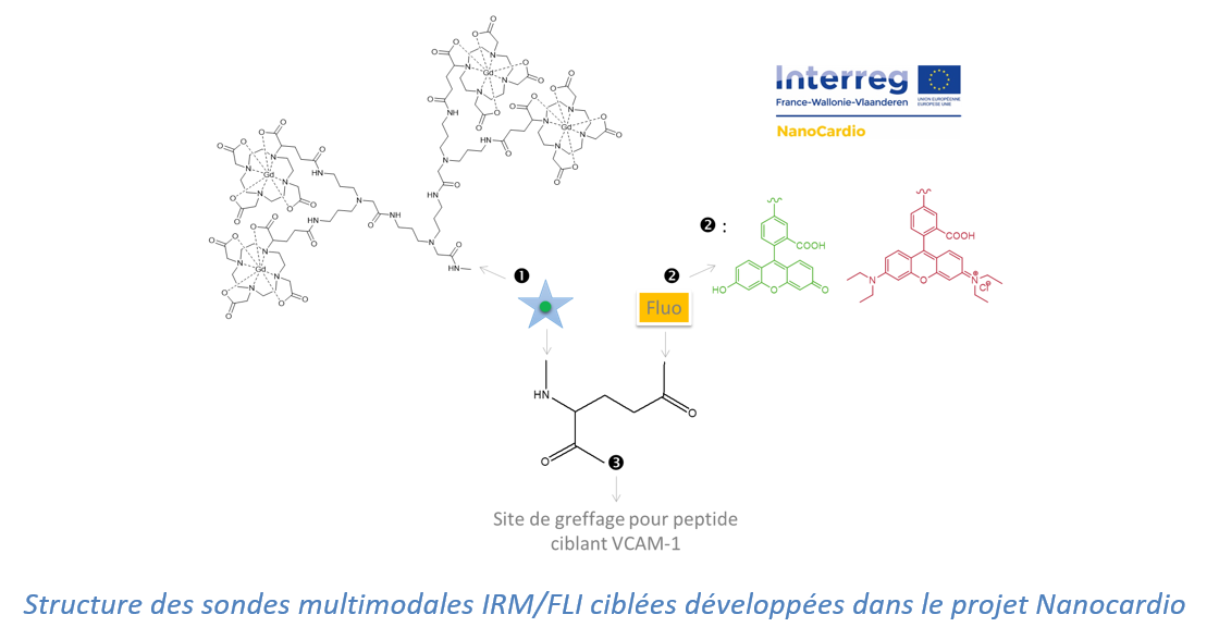 Structure des sondes multimodales 