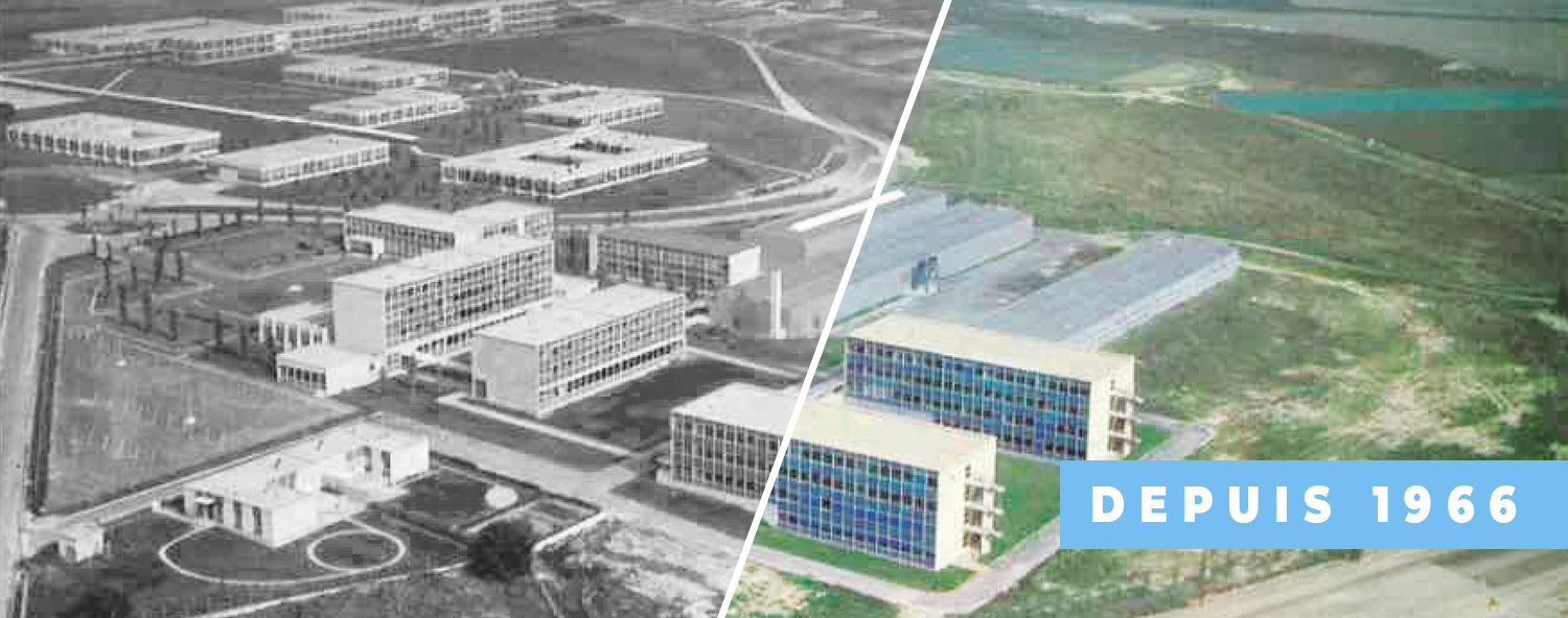 L'IUT RCC en 1966