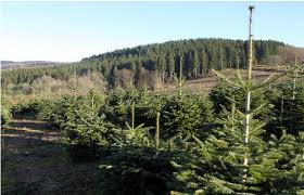 Evolution de l'environnement rural