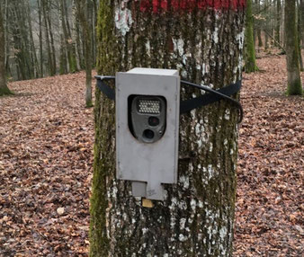 Science et ruralité