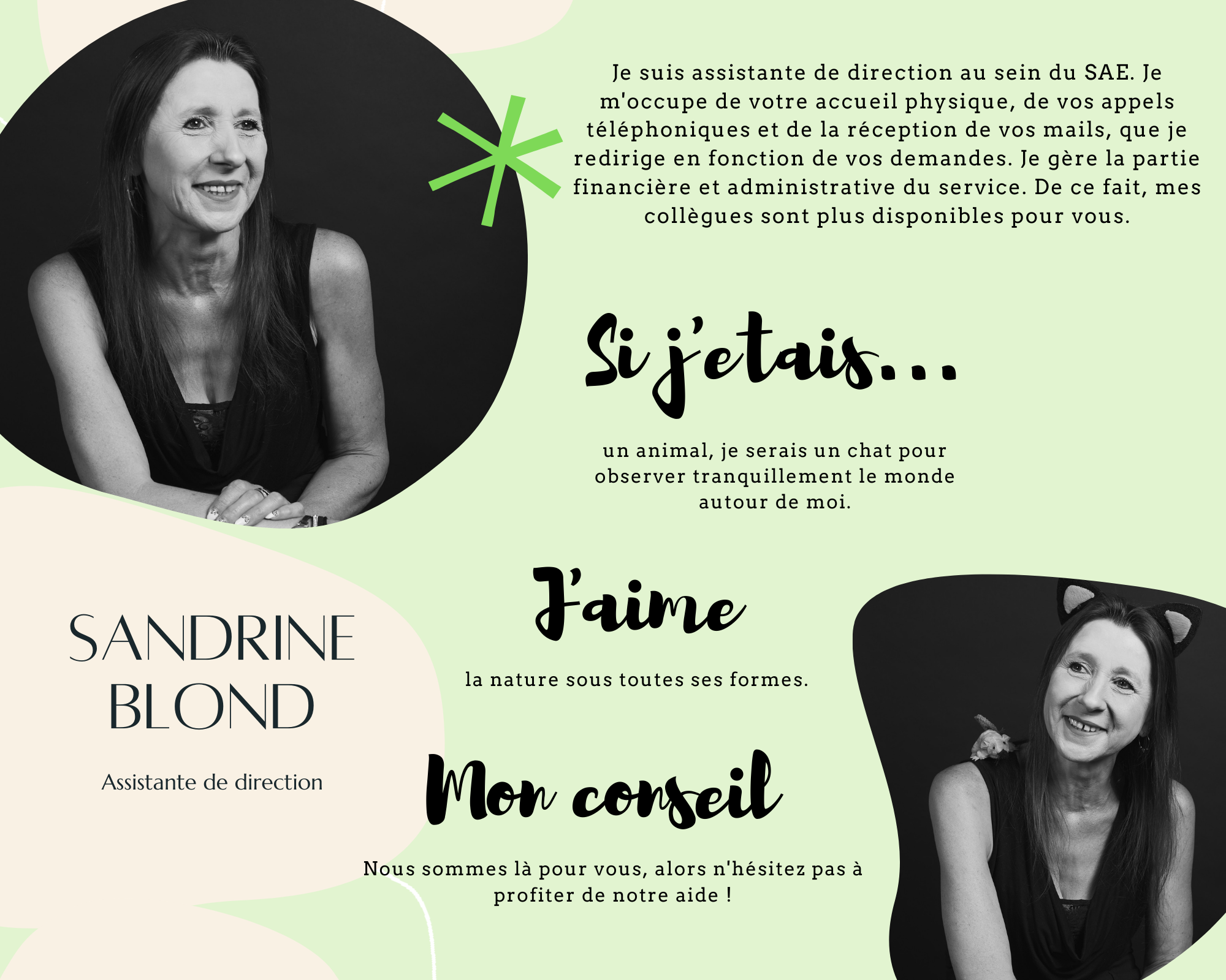 Assistante de directio, Assistante de directio,