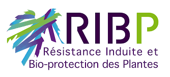 Logo du laboratoire RIBP (png,7Ko)