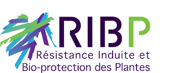 Logo du laboratoire RIBP(png, 8Ko)