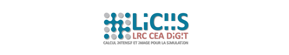 Logo Liciis (PNG,42Ko)