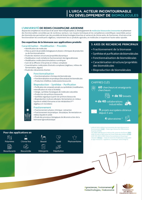 Fiche biomolécules