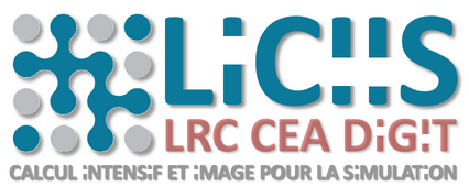 Logo LICIIS