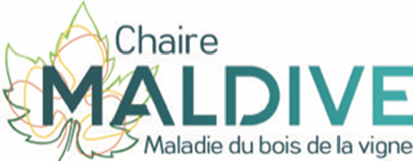 Logo chaire Maldive