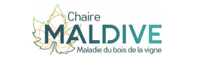 Logo Maldive