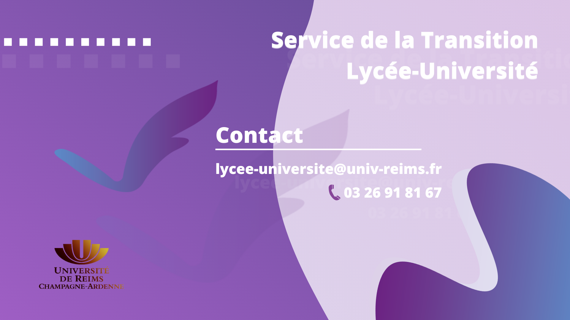 Contact