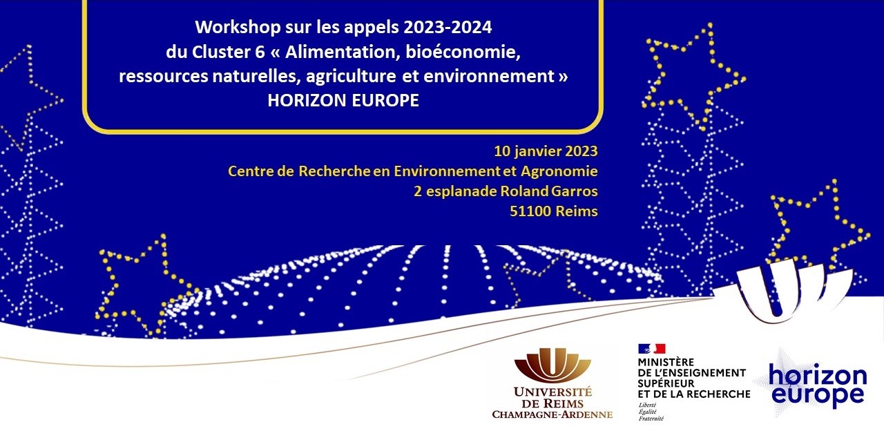 Affiche du workshop