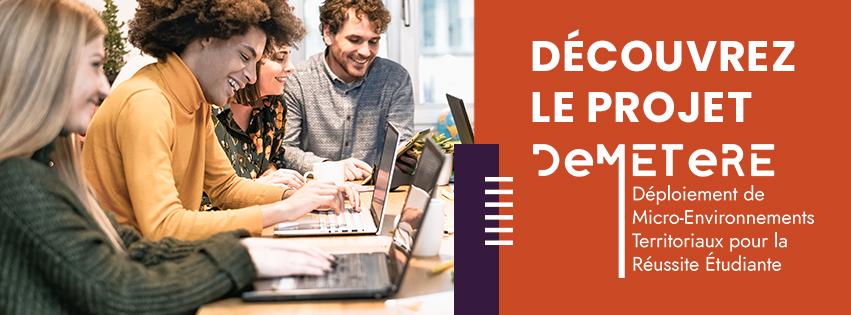 Vignette du projet DeMETeRE