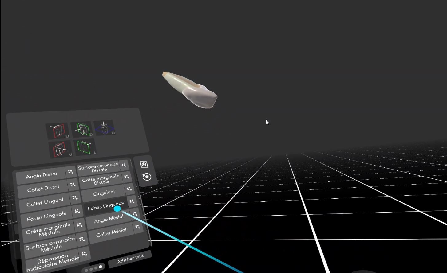 Vue de l’application dans le casque de réalité virtuelle