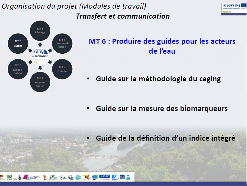 MT6 Guides MT6 Guides