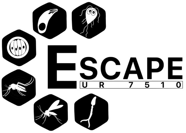 ESCAPE