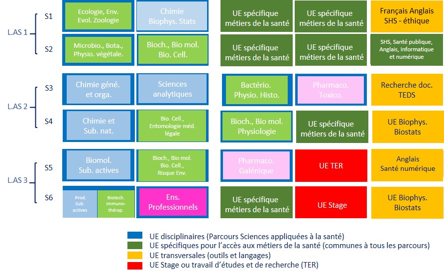 Parcours Sciences appliquées à la santé