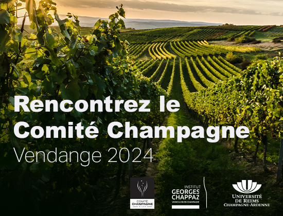 Vendanges 2024