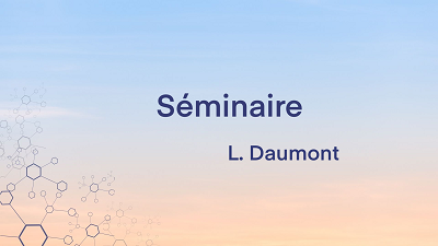 Séminaire de L. Daumont, le 10 juillet