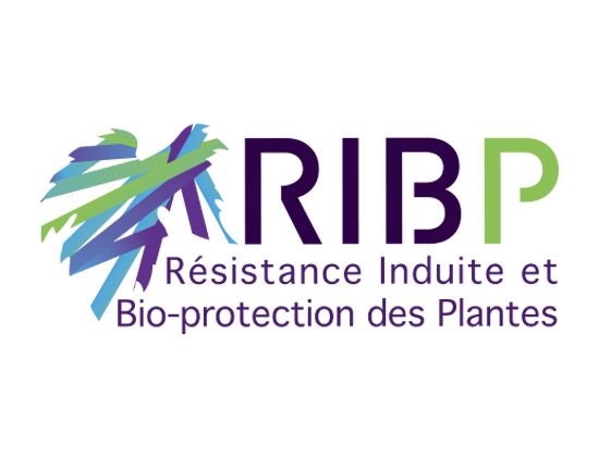Trans-Lipo : des alliés naturels contre les champignons 
