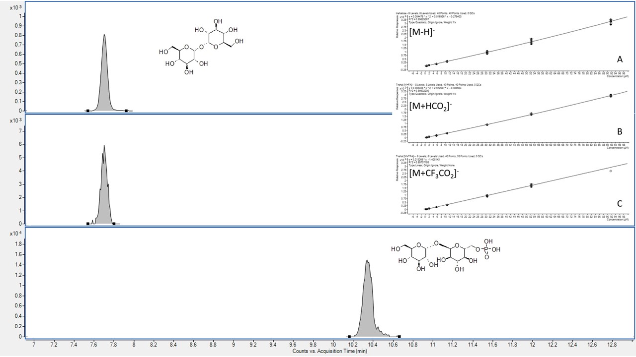 Graphical Abstract