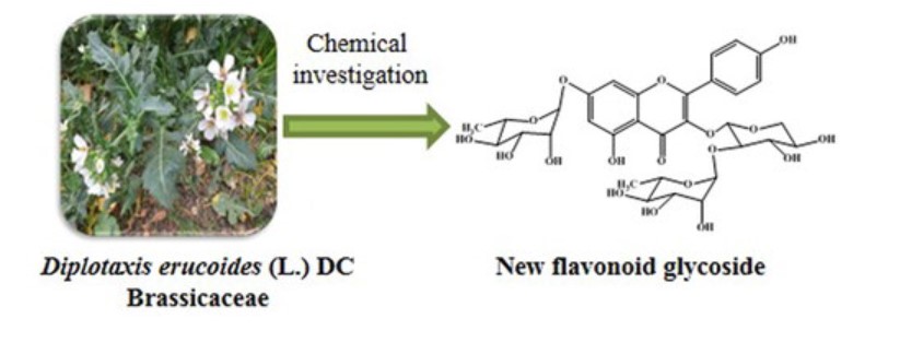Graphical Abstract