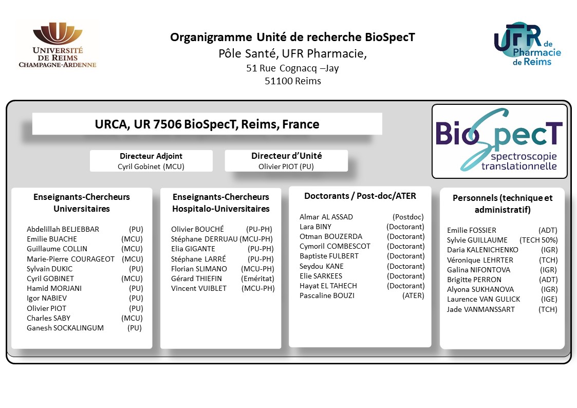 organigramme fonctionnel organigramme fonctionnel