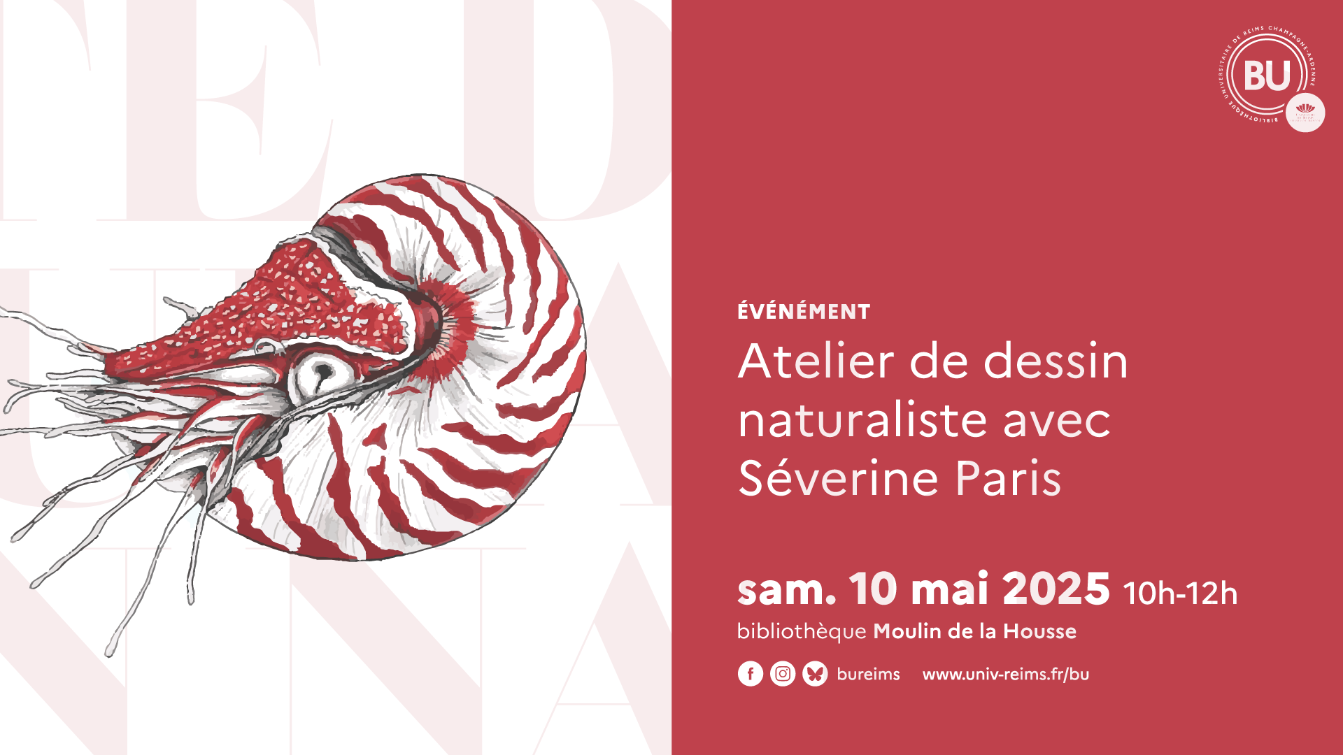 Atelier de dessin naturaliste avec Séverine Paris