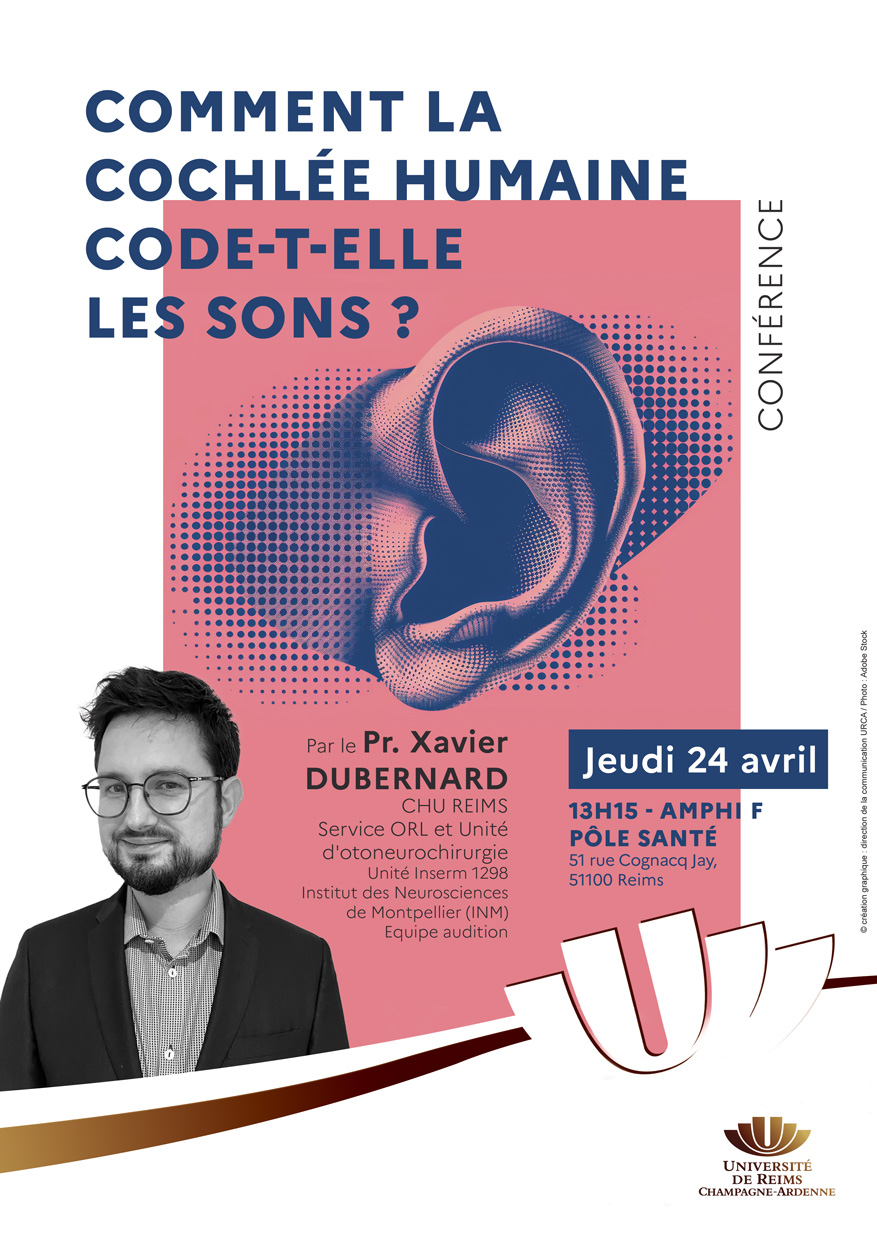 Comment la cochlée humaine code-t-elle les sons ?