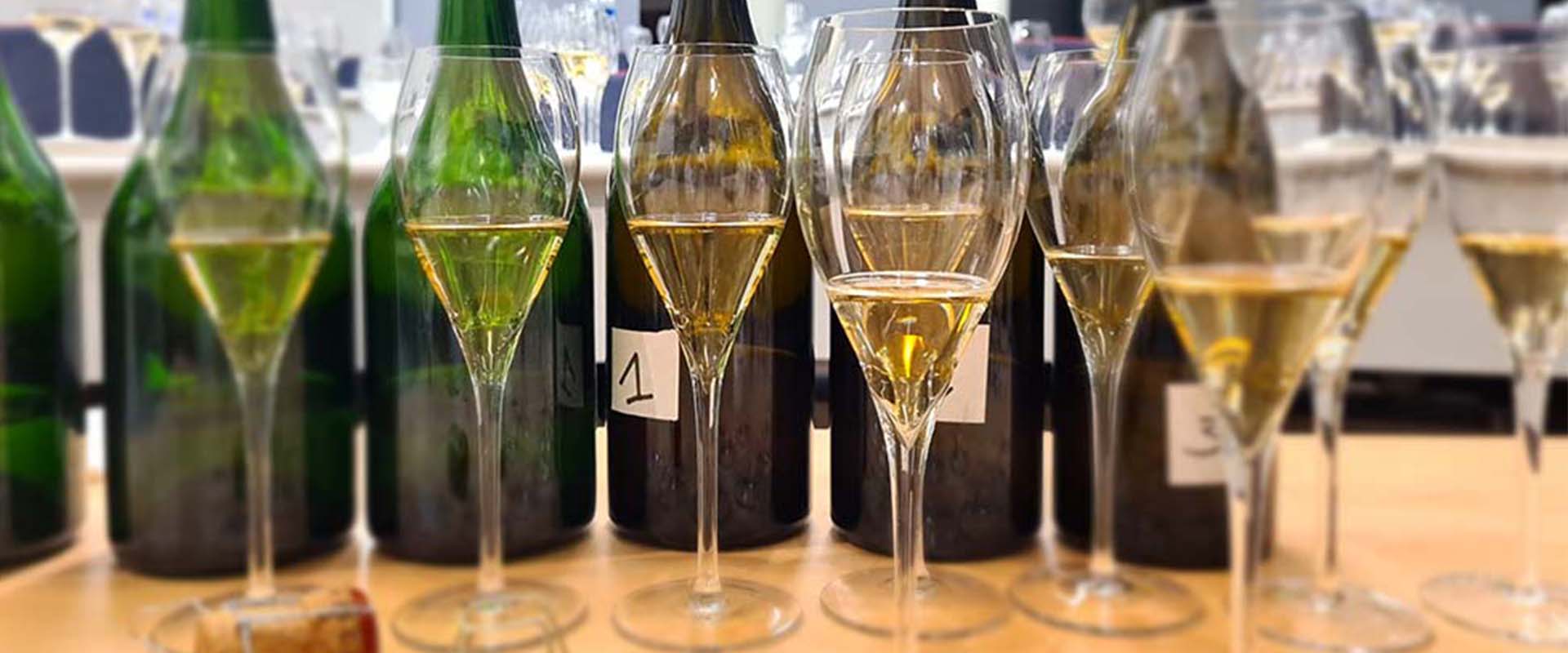 Toutes les informations sur la formation Champagne Spécialiste