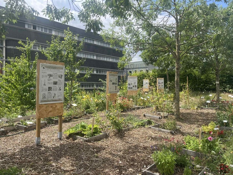Retour sur l’inauguration du jardin botanique de l’UFR de pharmacie de Reims