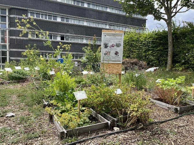 Retour sur l’inauguration du jardin botanique de l’UFR de pharmacie de Reims