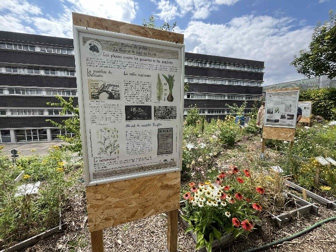 Retour sur l’inauguration du jardin botanique de l’UFR de pharmacie de Reims