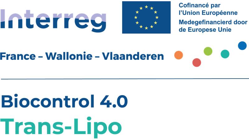 translipo
