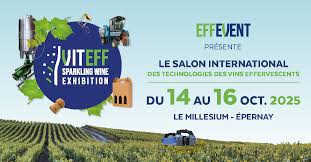 L'IGC sera présent au VITeff 2025