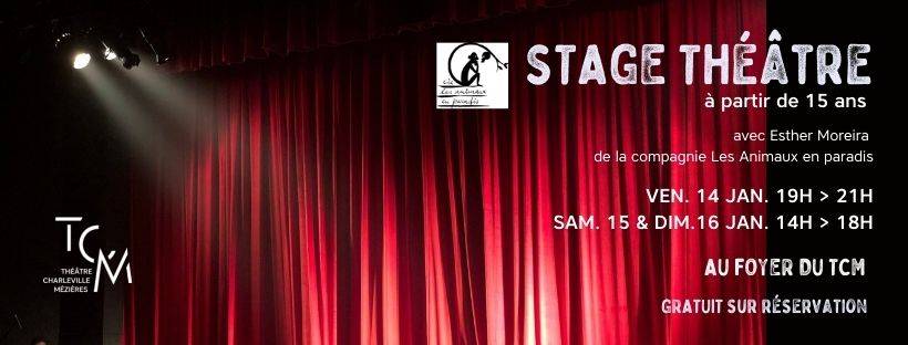 stage théatre CM (jpg, 40ko)