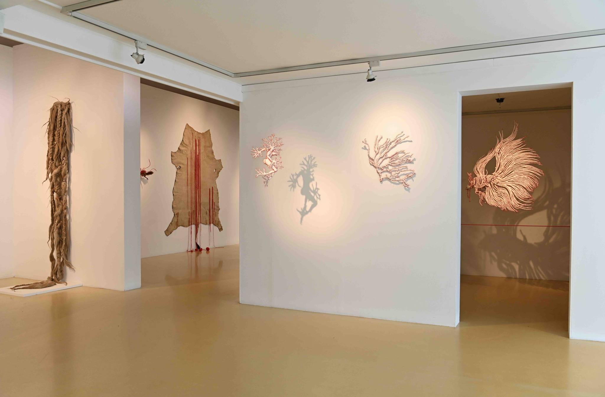 oeuvre exposée(jpg, 128ko)