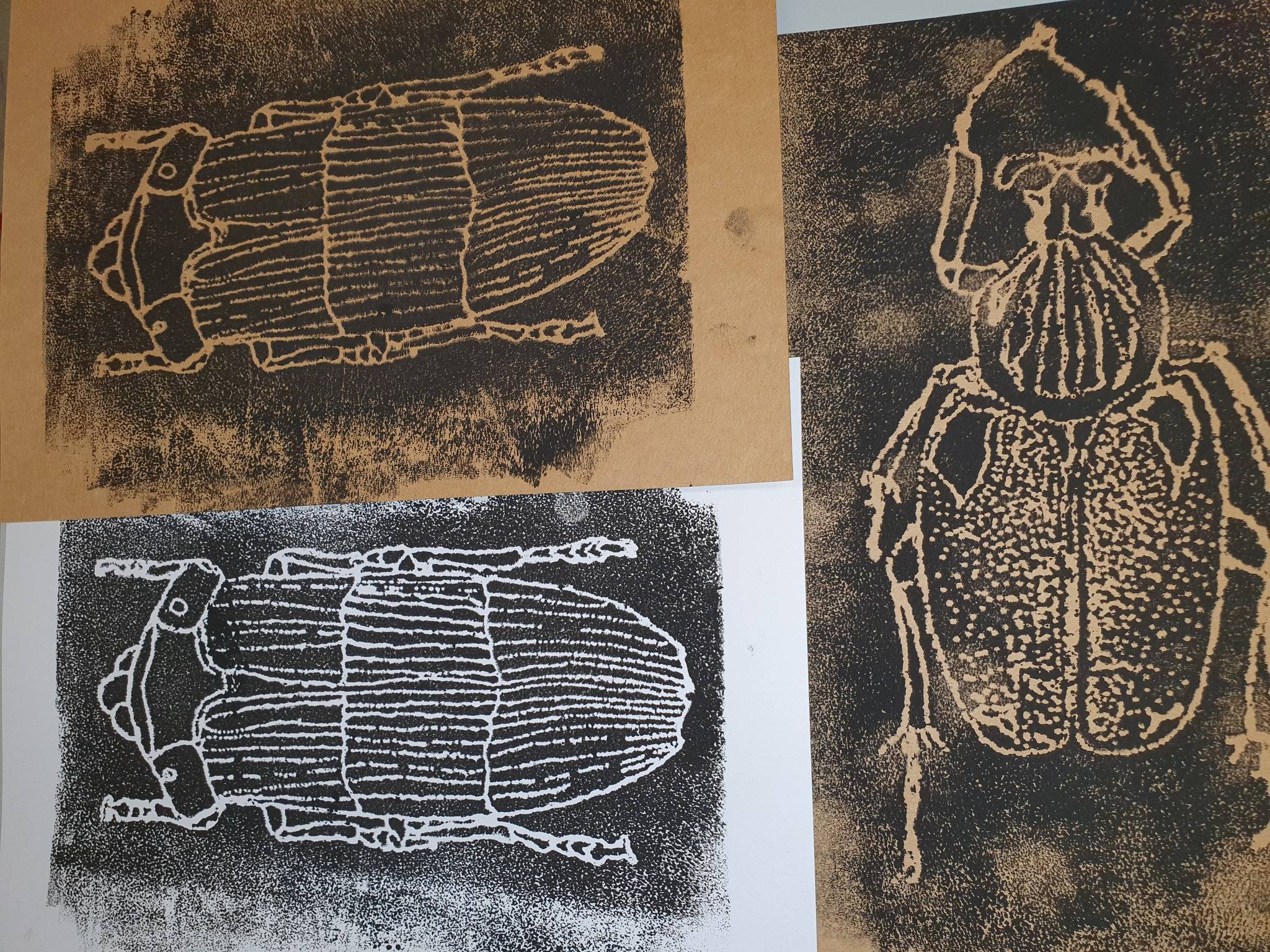 3 plans d'insectes(jpg, 829ko)