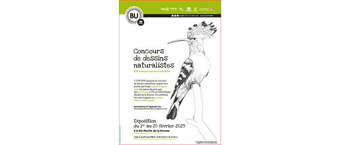 Concours de dessins
